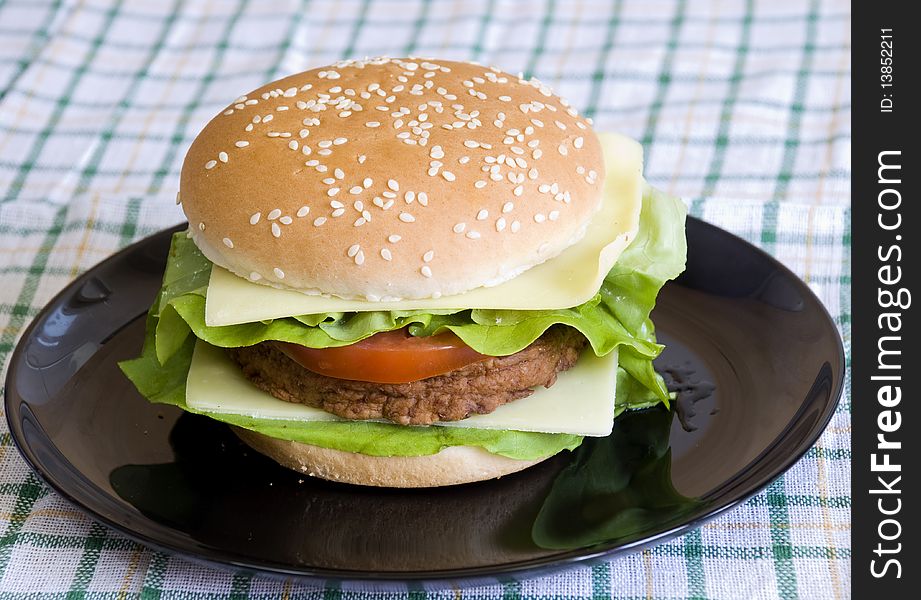 Delicious and fresh cheeseburger with lettuce, tomato and mayo. Delicious and fresh cheeseburger with lettuce, tomato and mayo