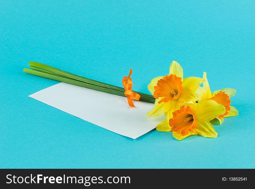 Bouquet and paper card on blue background