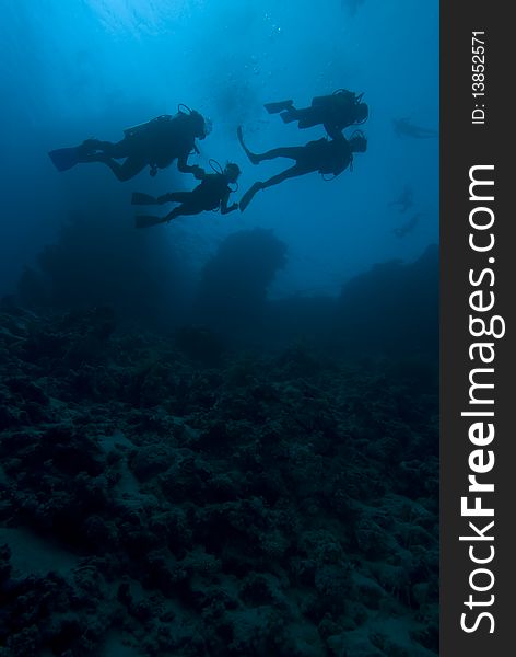 Silhouette shot of a four people scuba diving. Silhouette shot of a four people scuba diving