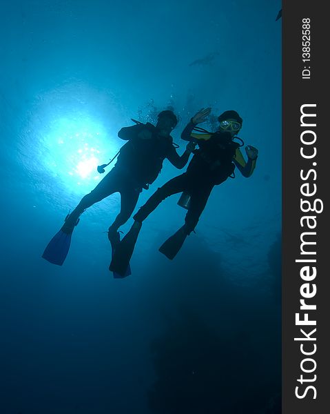 Silhouette shot of a two people scuba diving. Silhouette shot of a two people scuba diving
