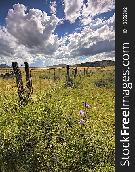 Gate in a farmland meadow. Gate in a farmland meadow