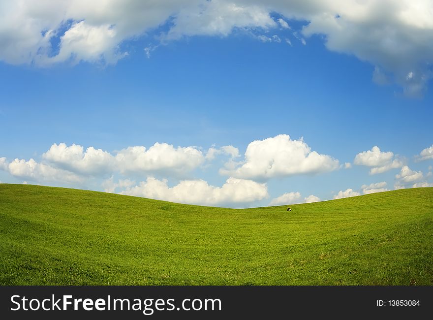 Summer landscape, green grass and blue sky