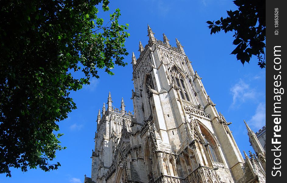 York Minster Cathedral between green tree leaves. York Minster Cathedral between green tree leaves