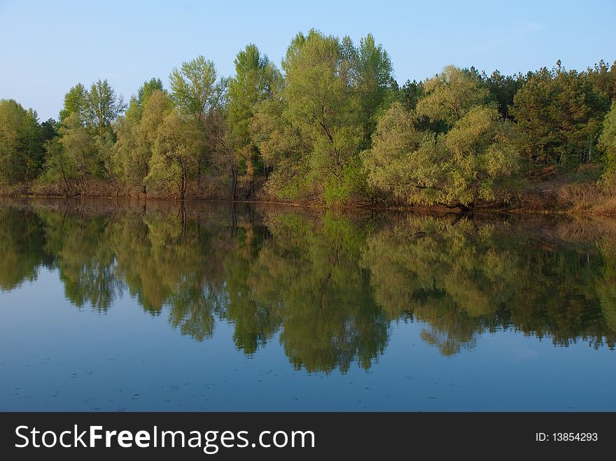 Reflexion of trees in the river