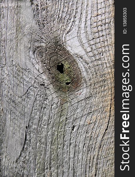 Textured wood grain of fence board up close. Textured wood grain of fence board up close