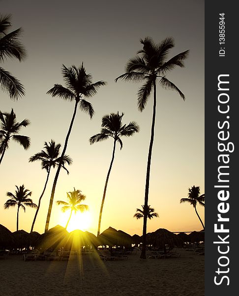 Beautiful sea sunrise on tropical beach resort,silhouette of palm trees, palapas and beach bed