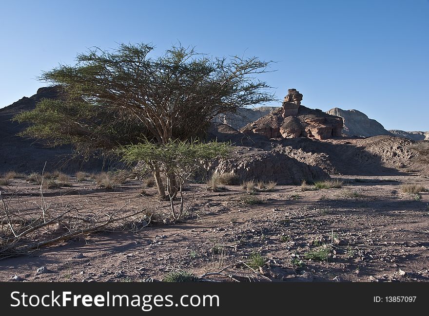 Spiral hill at Timna park