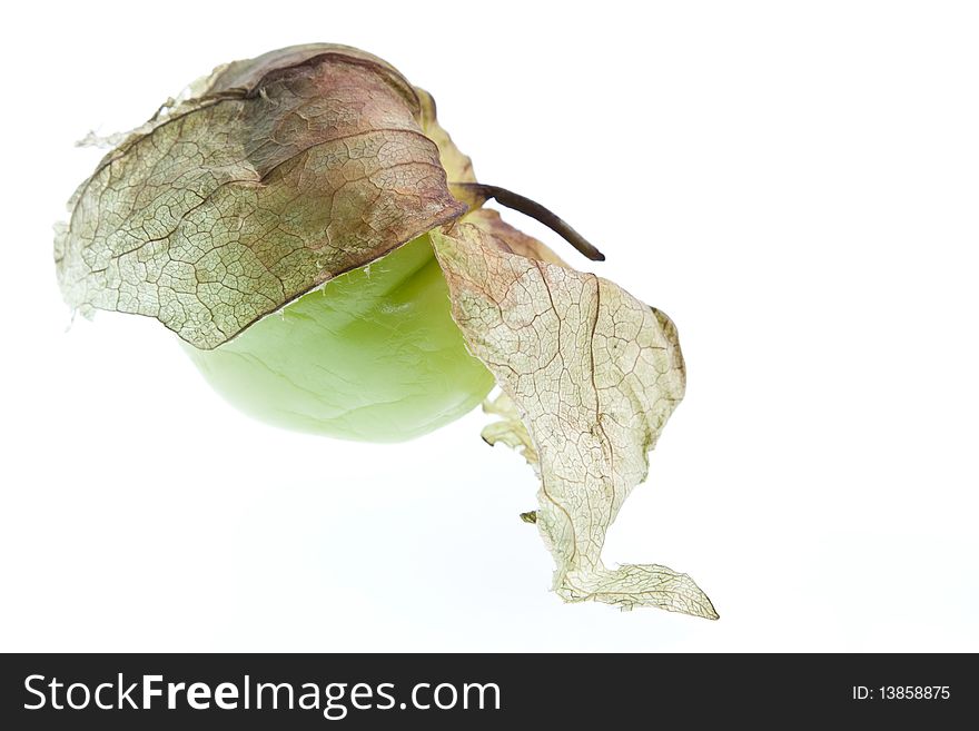 A tomatillo with its husk open isolated agaonst a white background. A tomatillo with its husk open isolated agaonst a white background