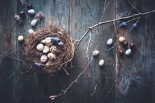 Free Happy Easter Background With Chocolate, Bird Nest On Tree Branch Stock Photos - 138512173