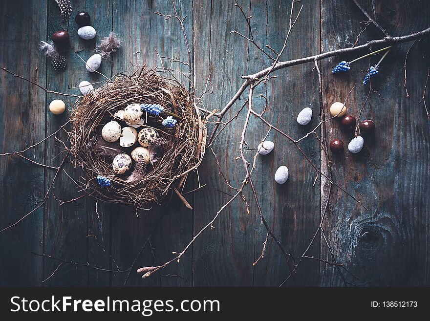 Happy Easter Background with Chocolate, Bird Nest on Tree Branch