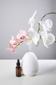 Oil Diffuser With Glass Amber Bottle And Orchid Flowers On White Table Stock Images