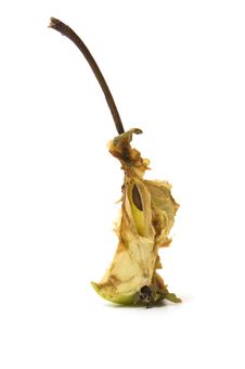 Apple Core On A White Background Stock Photography Apple Core On A White Background Stock Photography