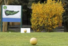 Golf Court Royalty Free Stock Photography Golf Court Royalty Free Stock Photography