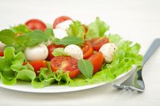 Salad With Tomatoes And Mozzarella Royalty Free Stock Images Salad With Tomatoes And Mozzarella Royalty Free Stock Images