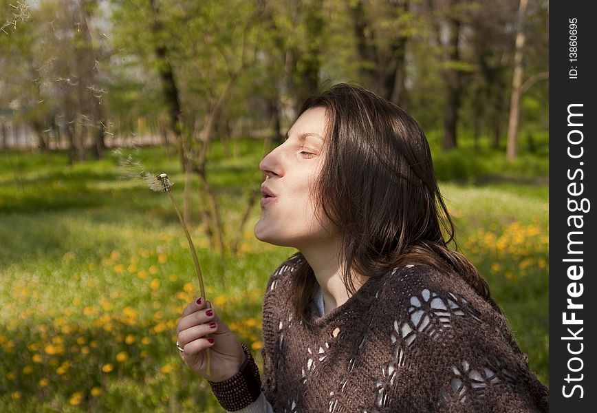 Close up of nice young girl in the park blowing dandelion. Close up of nice young girl in the park blowing dandelion.