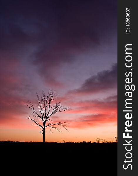 Clouds in orange and purple with dead tree in the Rietvlei Nature reserve. Clouds in orange and purple with dead tree in the Rietvlei Nature reserve