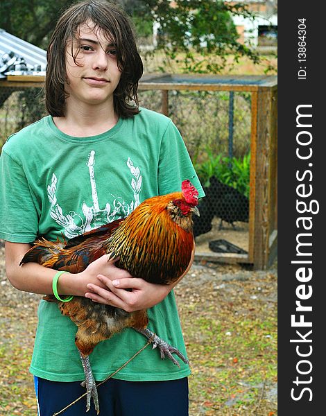 Shot of a young boy holding rooster