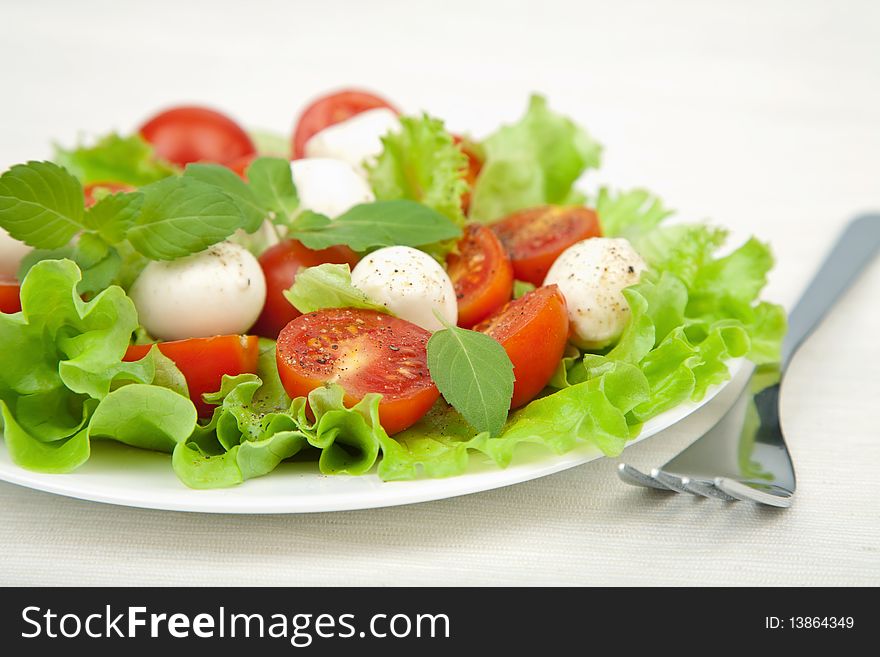 Fresh salad with tomatoes and mozzarella