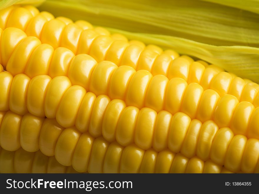 Macro Of Fresh Maize