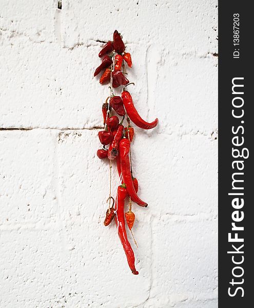 Red hot chilli pepper with wall background