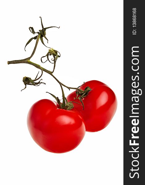 Tomatoes on a twig isolated over a white background. Tomatoes on a twig isolated over a white background.