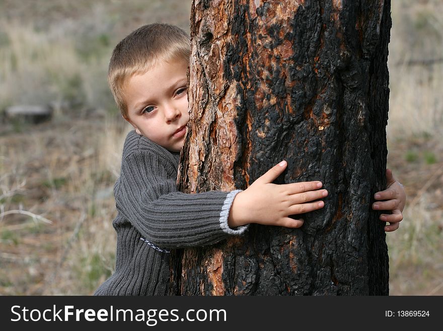 Little boy hugging a tree in the woods. Little boy hugging a tree in the woods