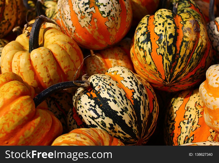 Many pumpkins