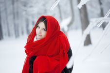 Beautiful Girl In Winter Forest In Red Stock Photography