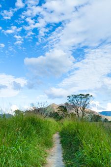 The Wetland And Countryside Of Hong Kong Stock Images The Wetland And Countryside Of Hong Kong Stock Images