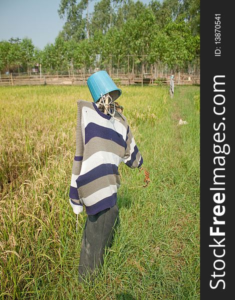 Scarecrow stanà¸ alone in the field