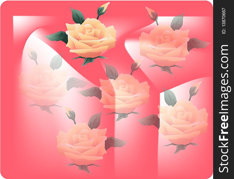 Flowers on a pink background