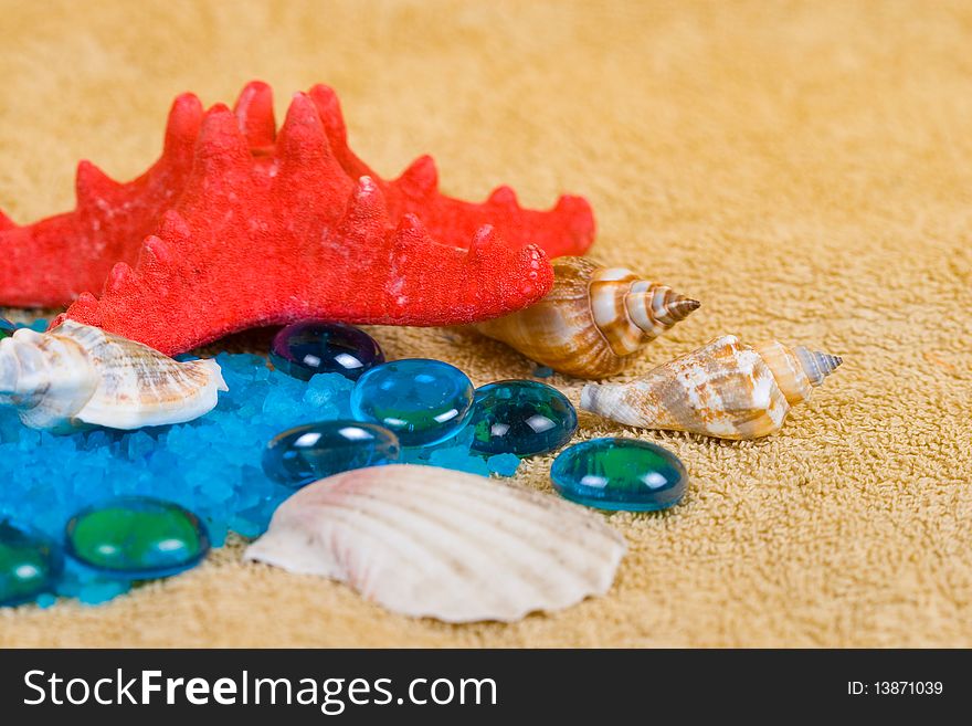 Aromatic salt and shells on a yellow background