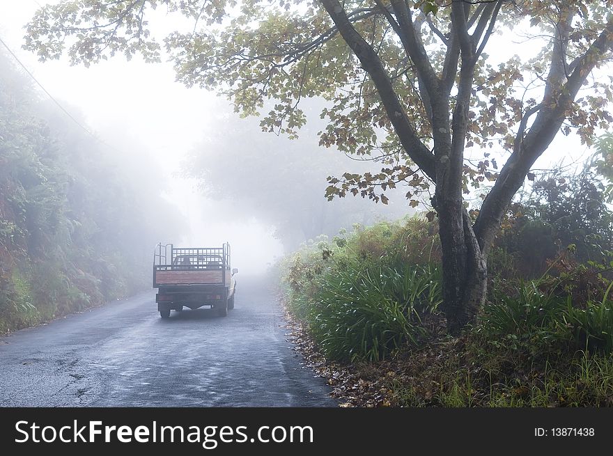 Foggy forest road with old car. Foggy forest road with old car