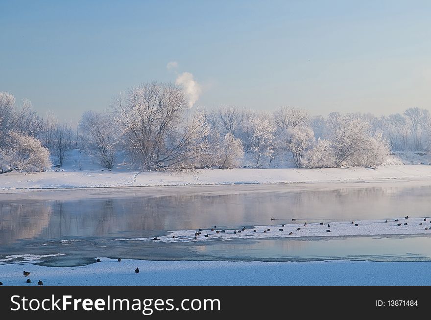 River and hoarfrost, winter day