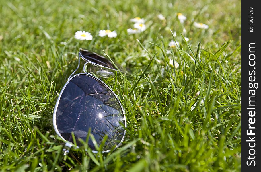 Sunglasses in the grass with flowers