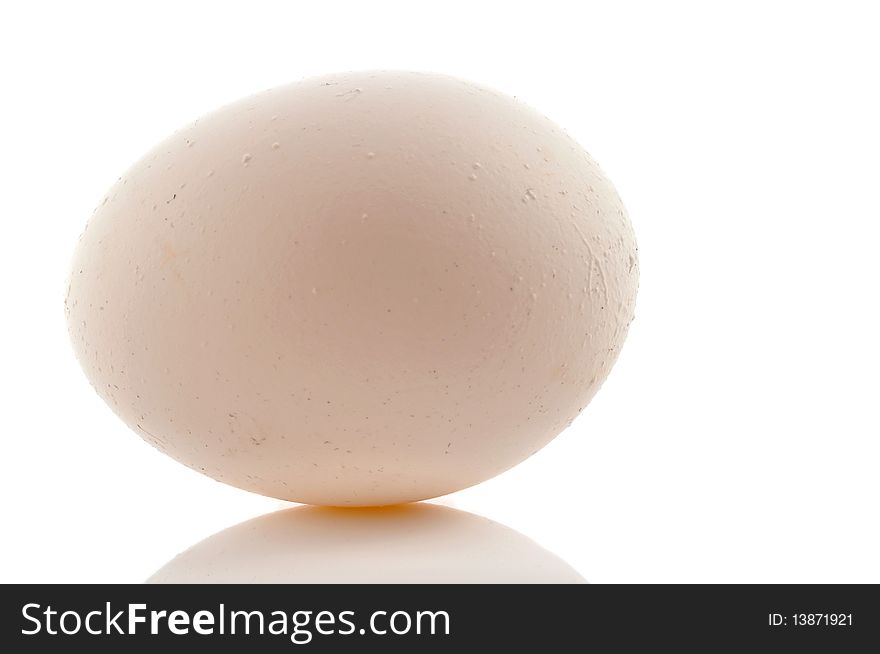 White egg on white background