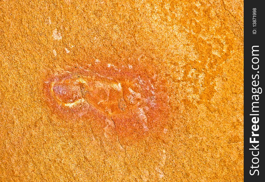 Pictograph of animal on sandstone rocksurface Valley of Fire. Pictograph of animal on sandstone rocksurface Valley of Fire