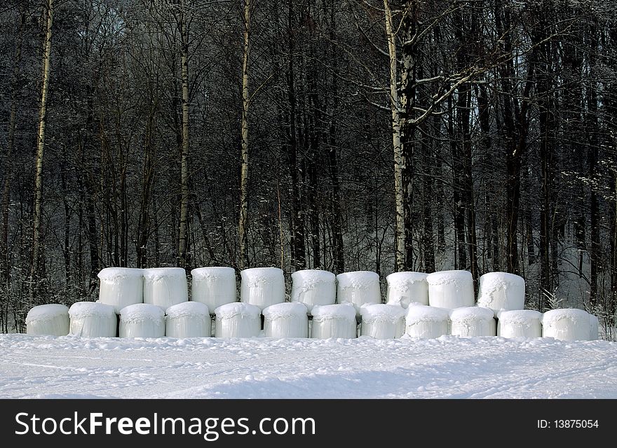 Group of the silage bales in snow. Group of the silage bales in snow.