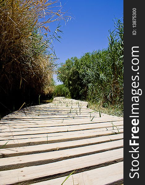 Photo of the Azraq Oasis boardwalk in Azraq Wetlands reservation - Jordan. Photo of the Azraq Oasis boardwalk in Azraq Wetlands reservation - Jordan
