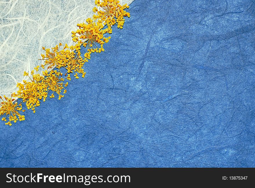 Yellow lace flower background
