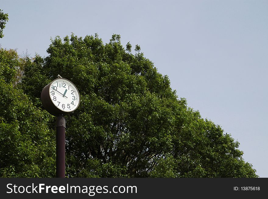 Park clock and tree and blue sky background