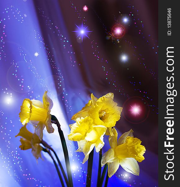 Wonderful background with narcissuses and stars