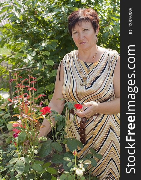 The woman with own to a garden shows a bush of red roses