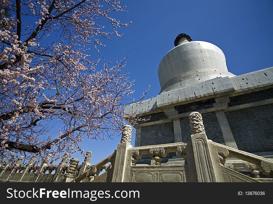 White Pagoda  With Blooming Peach Flower