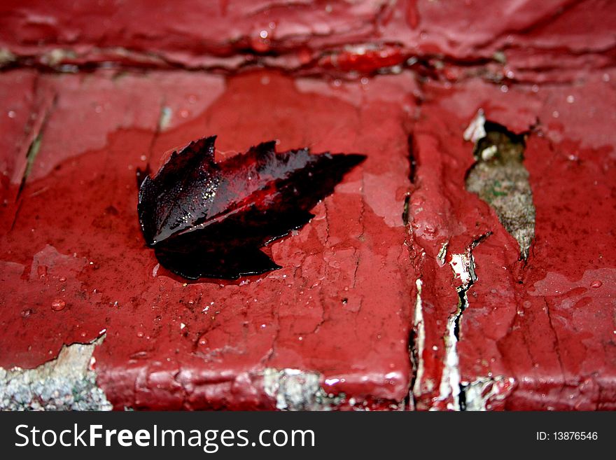 Red leaf on red peeling paint