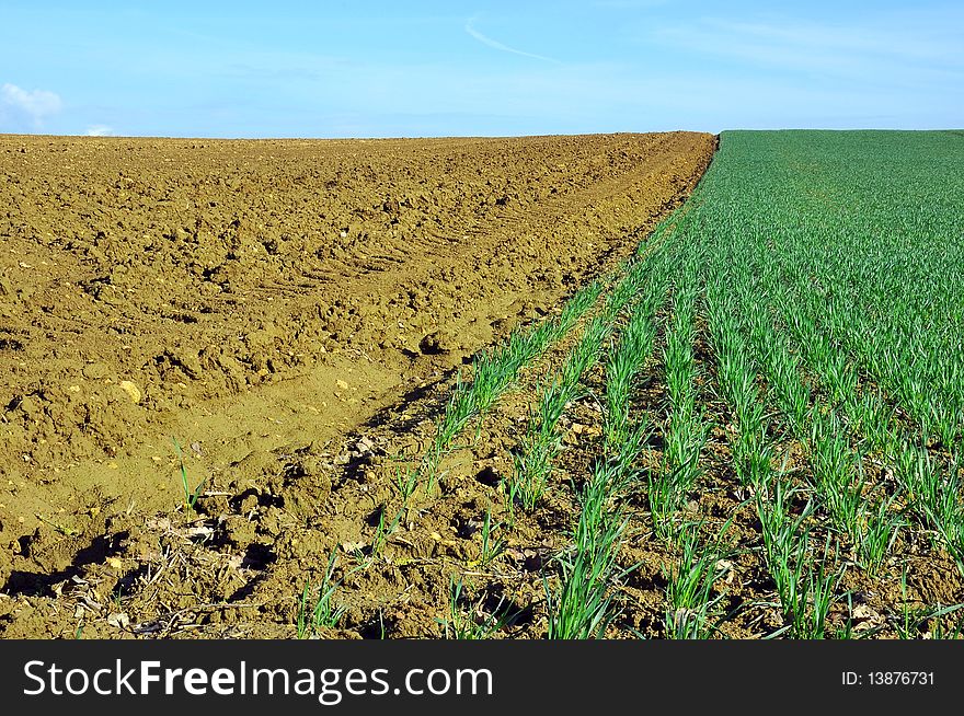 ploughing near  an area of cultivation. ploughing near  an area of cultivation