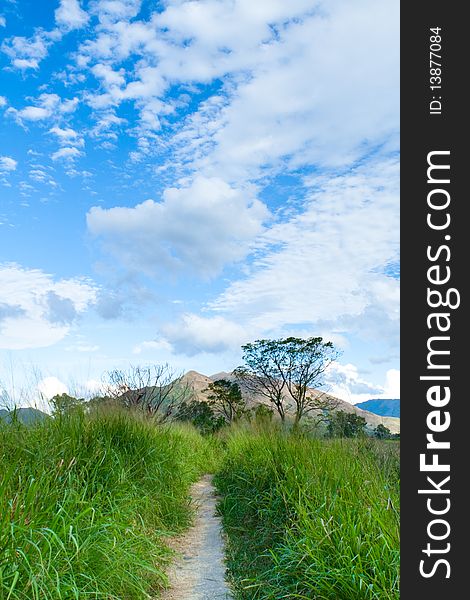 The Wetland And Countryside Of Hong Kong