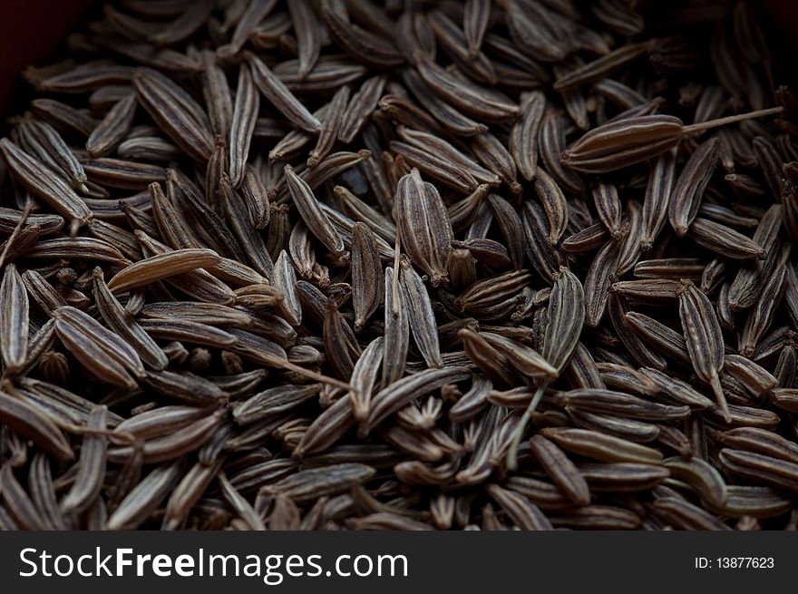 Macro shot of different type of seasoning on wooden table top