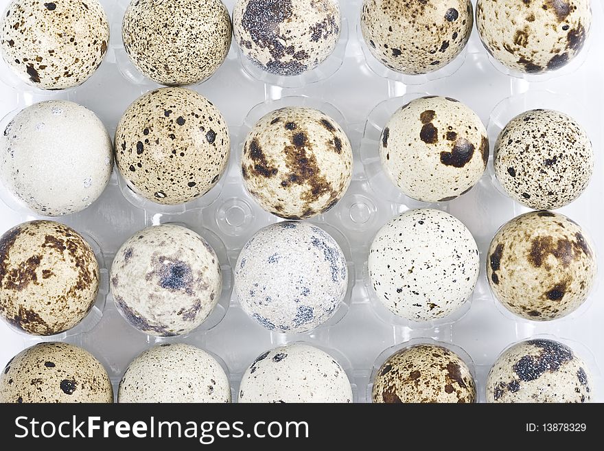 Close-up view of a tray of quails eggs. Close-up view of a tray of quails eggs