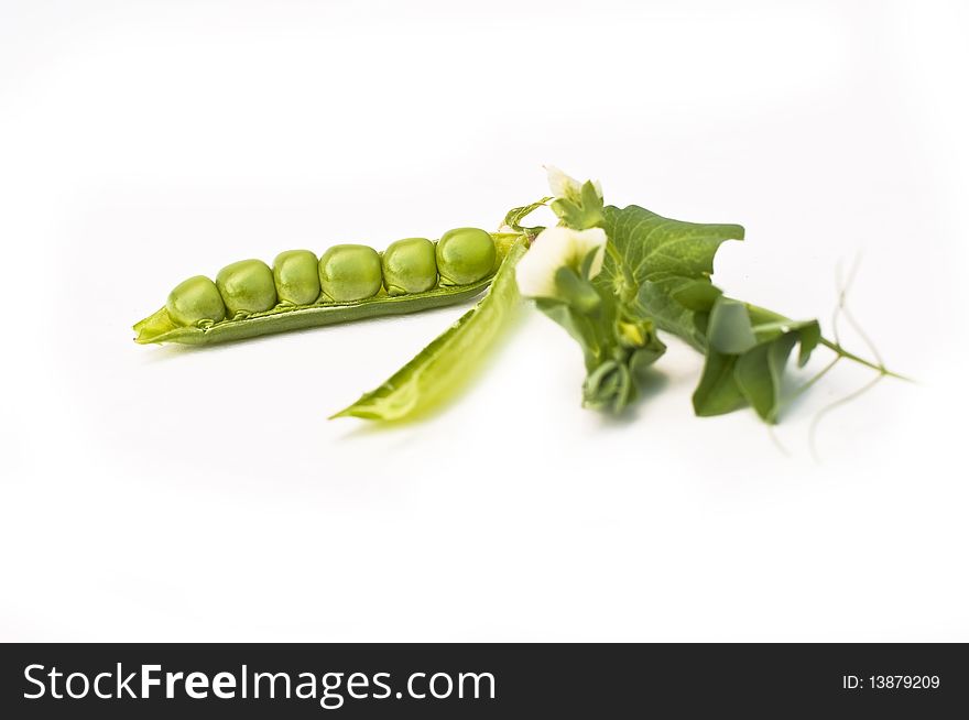 Fresh green pea in the pod with flowers isolated on white